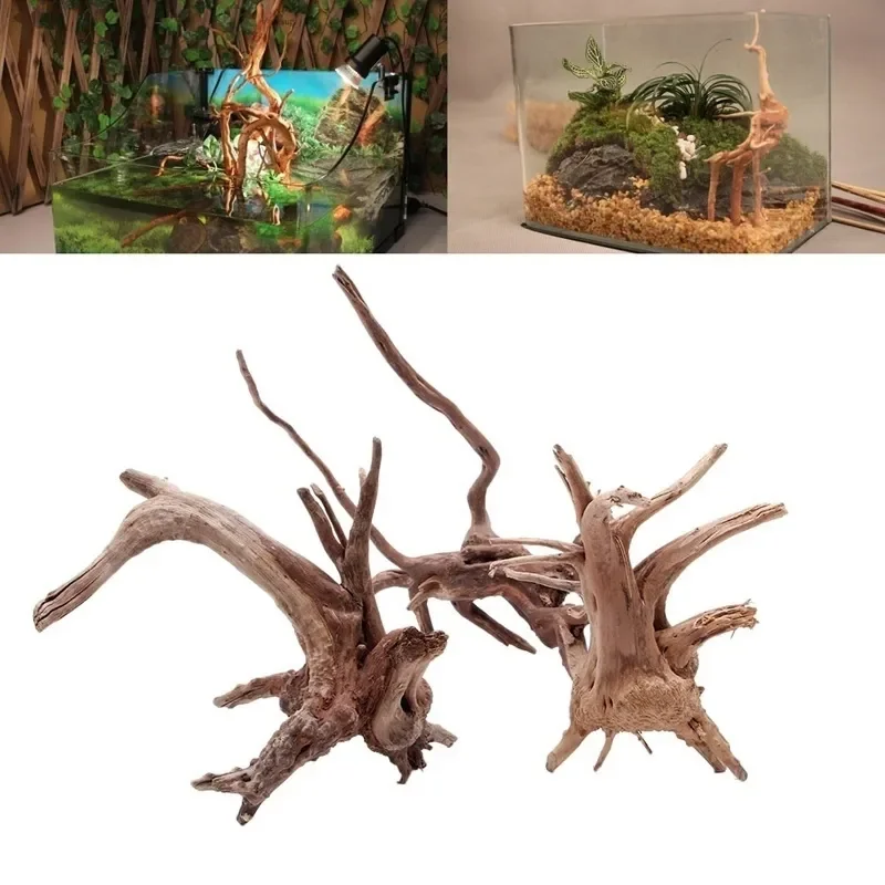 Live Plant Aquarium - Natural Tree Trunk Driftwood Aquarium Fish
