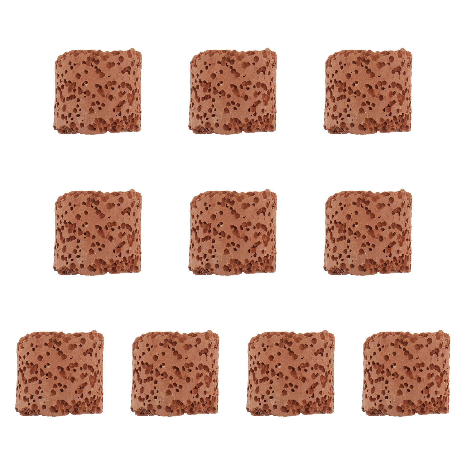 Planted Tank - 10Pcs Fixed Ring for Aquarium Plants