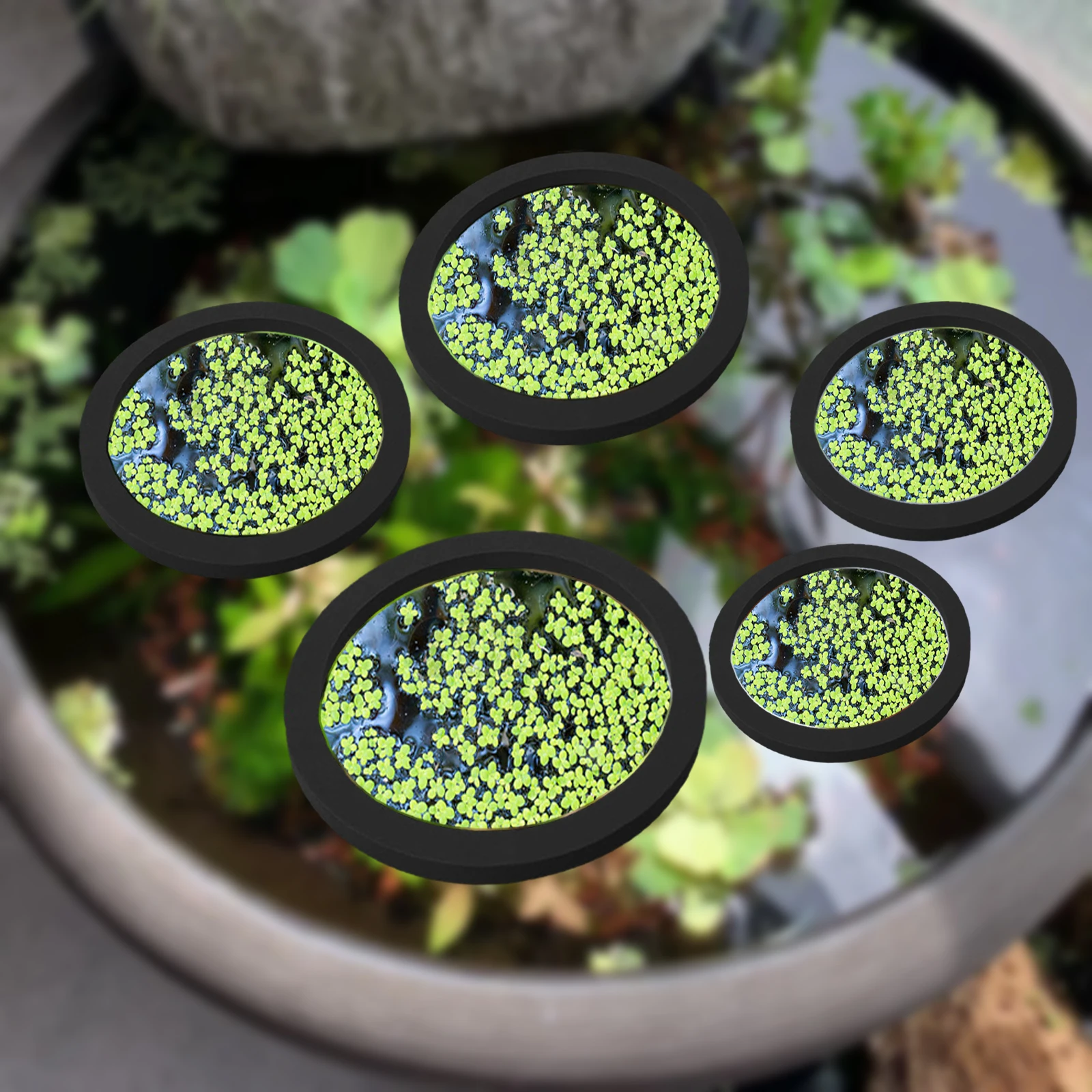 Planted Tank - 5Pcs EVA Fish Feeding Ring Aquarium