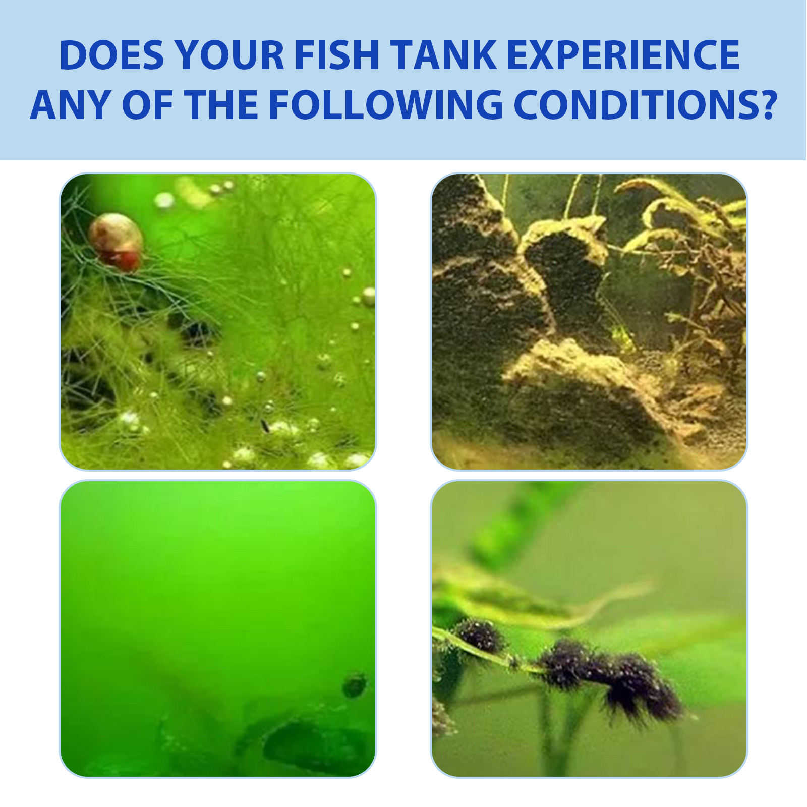 Biological Aquarium Algae Cont - Planted Aquarium Algae Control 评论和价格