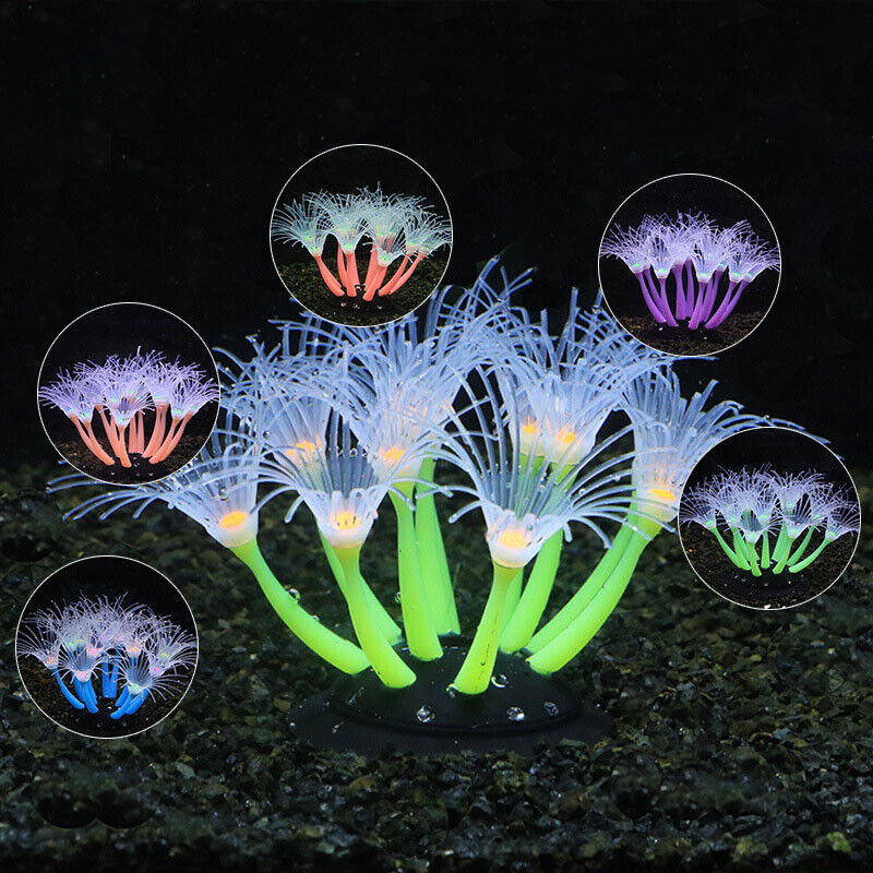 Silicone Glowing Landscape Art - Live Plant Aquarium 评论和价格