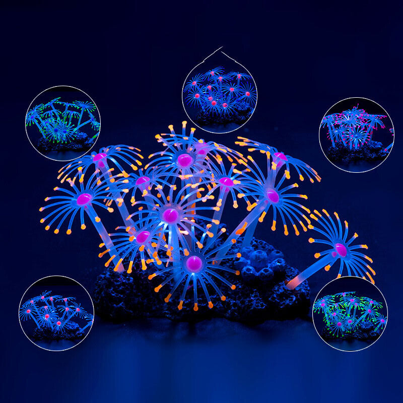Silicone Glowing Landscape Art - Live Plant Aquarium 评论和价格