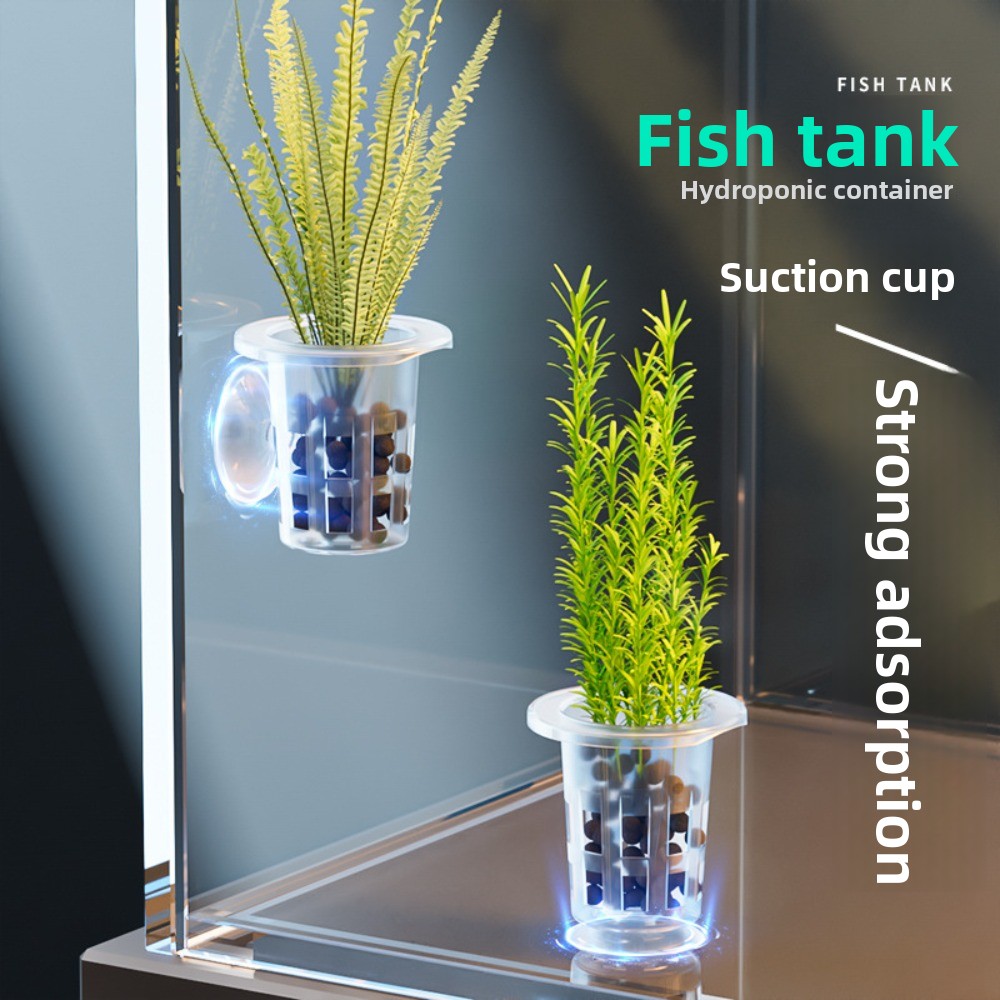 10Pcs Transparent Plant Hydrop - Aquarium Plants Live 评论和价格