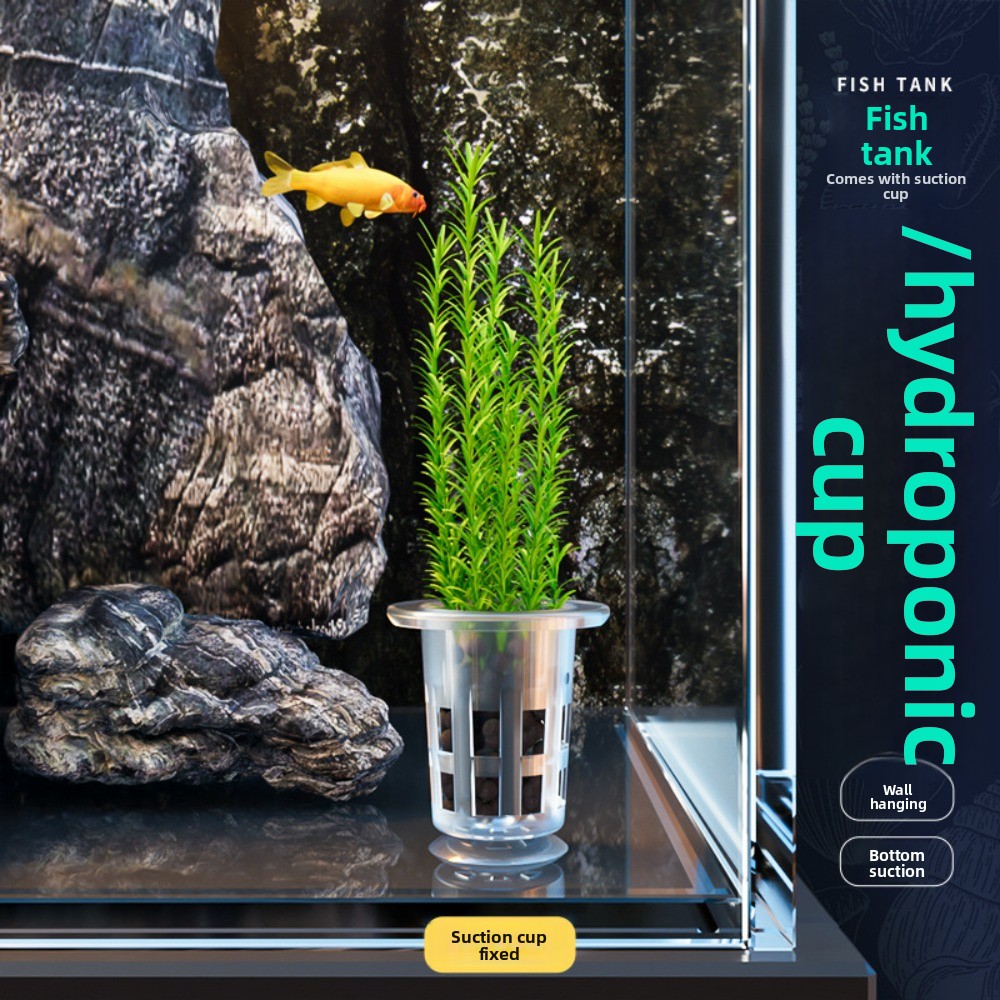 10Pcs Transparent Plant Hydrop - Aquarium Plants Live 评论和价格