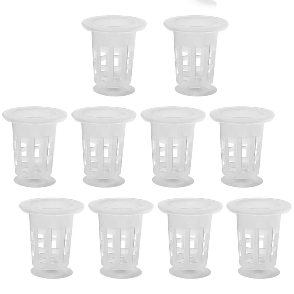 10Pcs Transparent Plant Hydrop - Aquarium Plants Live 评论和价格