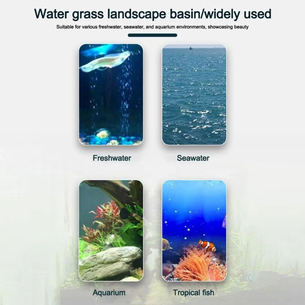 10Pcs Transparent Plant Hydrop - Aquarium Plants Live 评论和价格