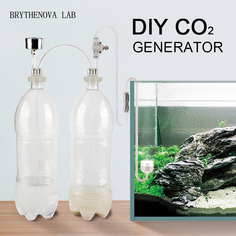 CO2 Generator Aquarium Planted - Aquarium Moss 评论和价格