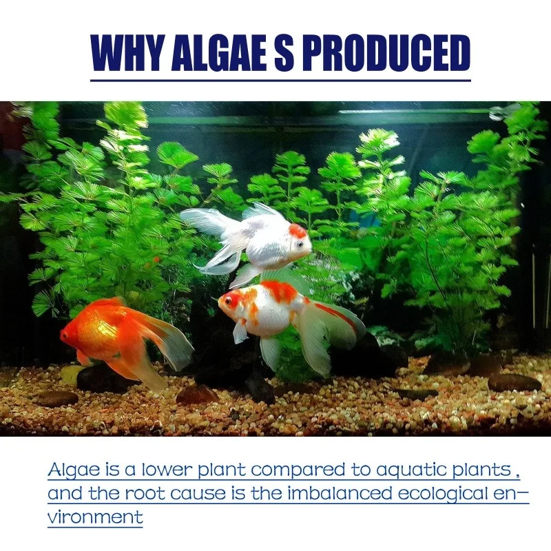 50g High Efficiency Algaecide  - Aquarium Moss 评论和价格