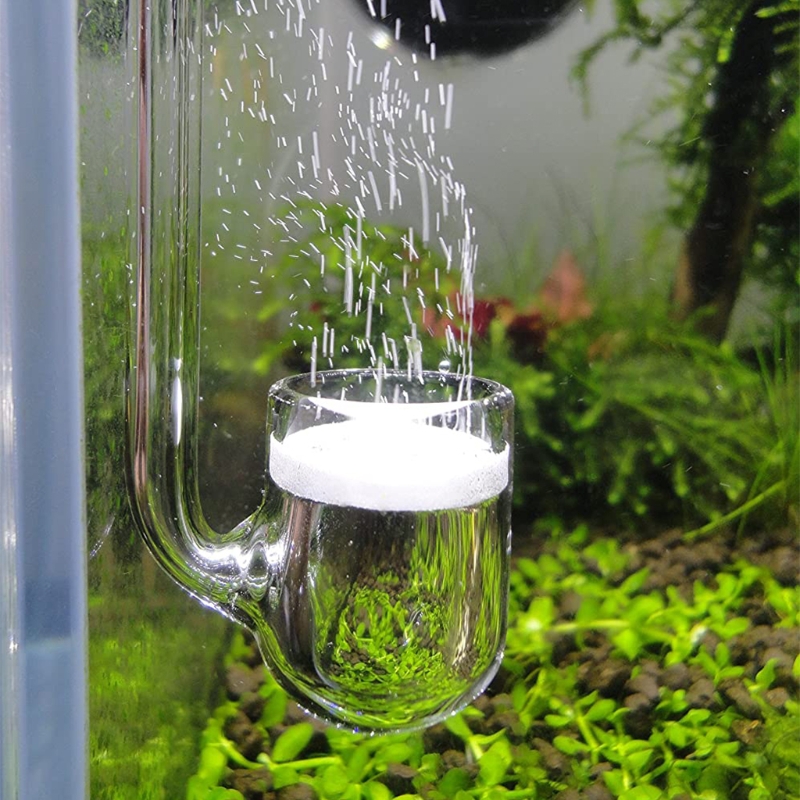 D0AD Glass CO2 Diffuser for Aq - Aquarium Liquid Carbon 评论和价格