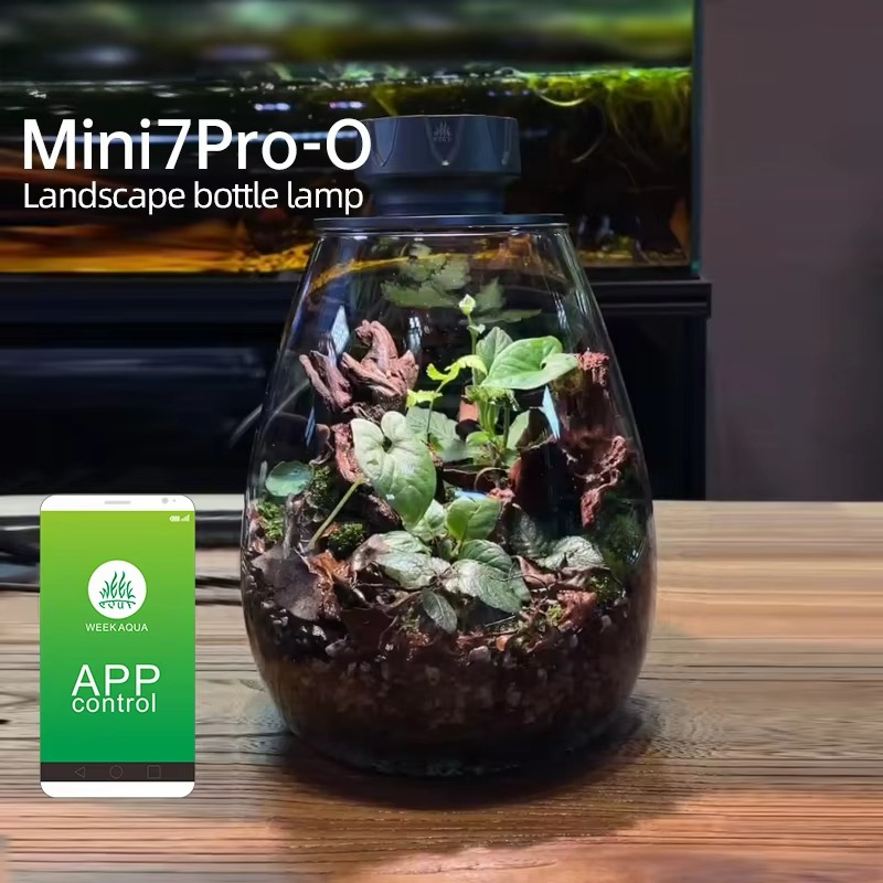 COB Microlandscape Plant Fill  - Planted Tank 评论和价格