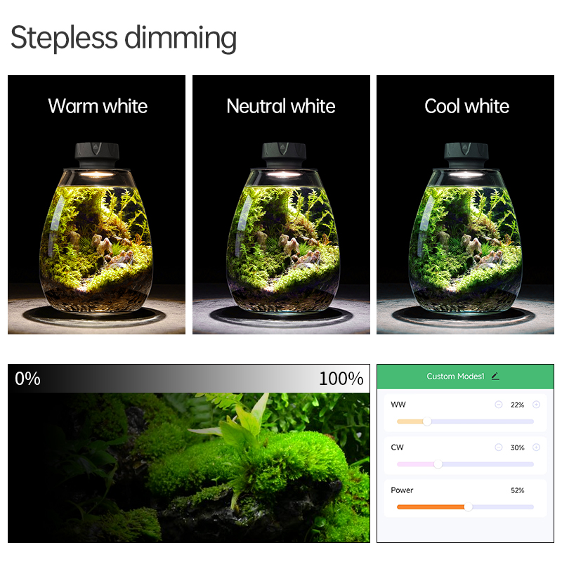 COB Microlandscape Plant Fill  - Planted Tank 评论和价格