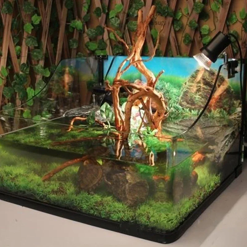 Natural Tree Trunk Driftwood A - Live Plant Aquarium 评论和价格