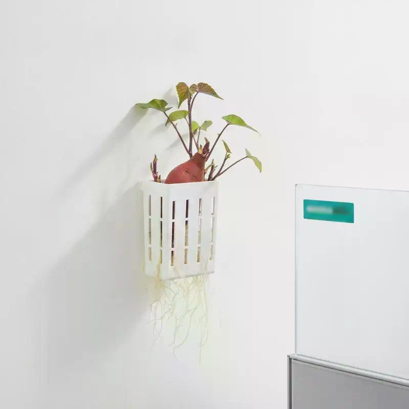 1Pcs Hydroponic Support Basket - Planted Tank 评论和价格