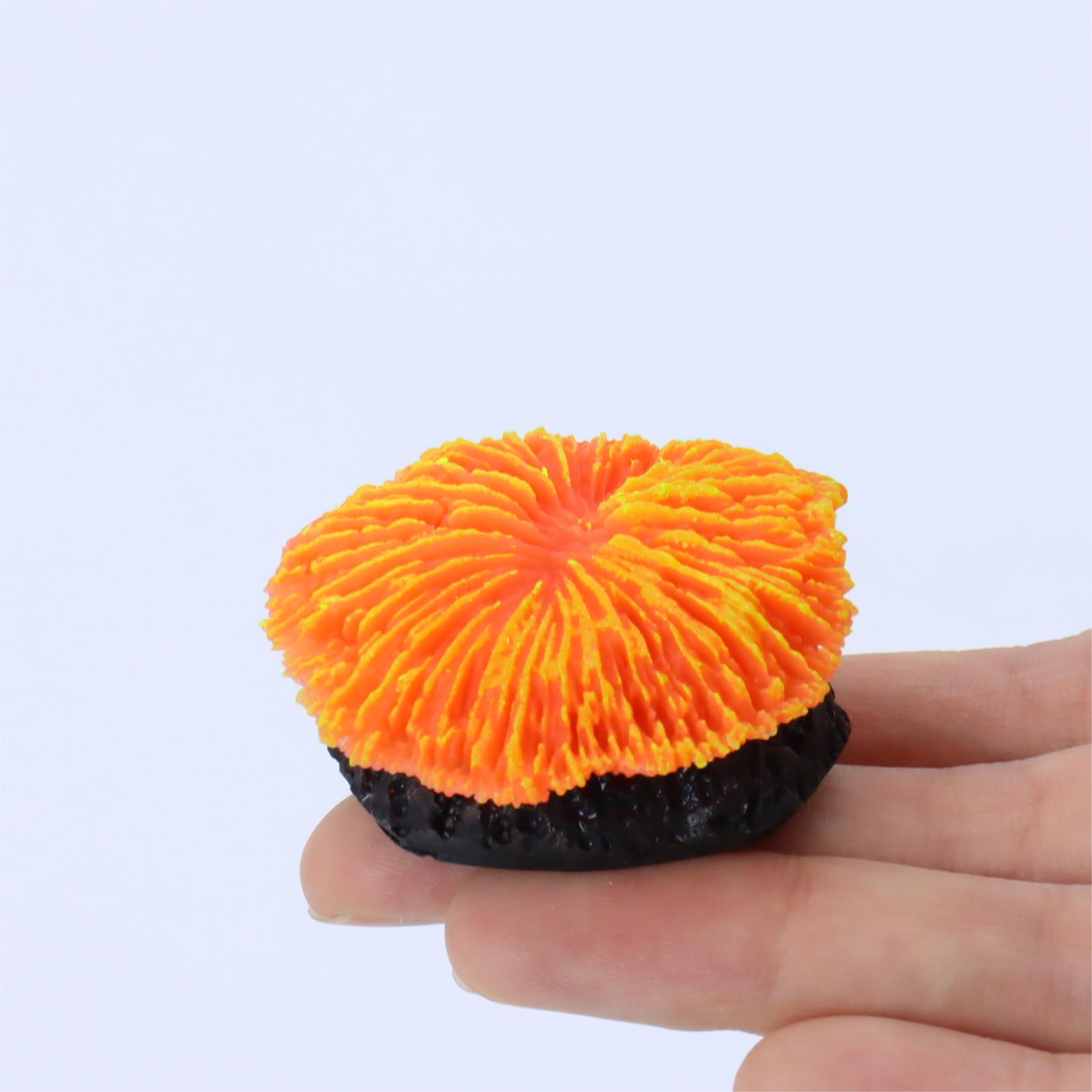 1 Piece Aquarium Decoration Sa - Live Plant Aquarium 评论和价格