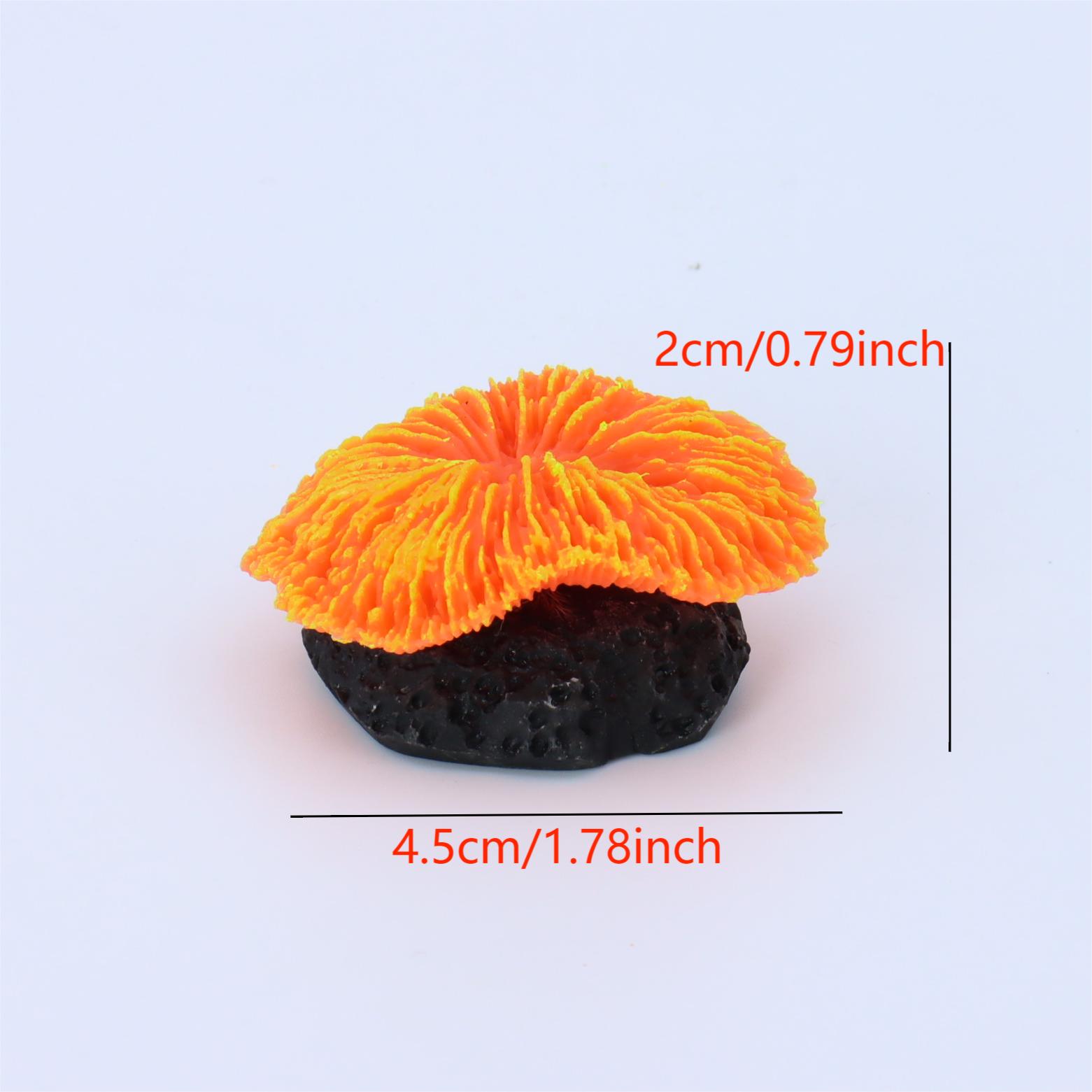 1 Piece Aquarium Decoration Sa - Live Plant Aquarium 评论和价格