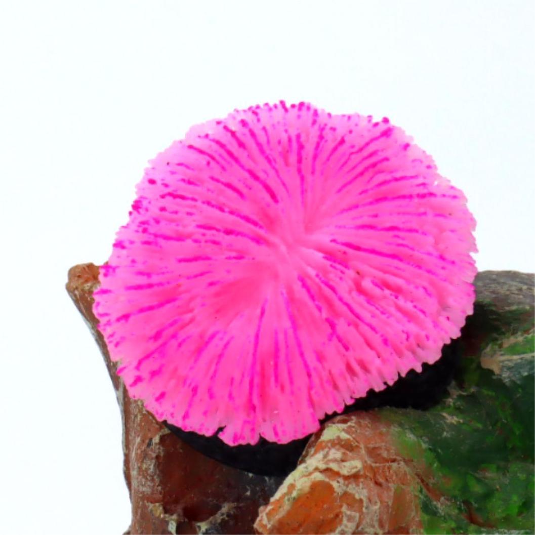 1 Piece Aquarium Decoration Sa - Live Plant Aquarium 评论和价格