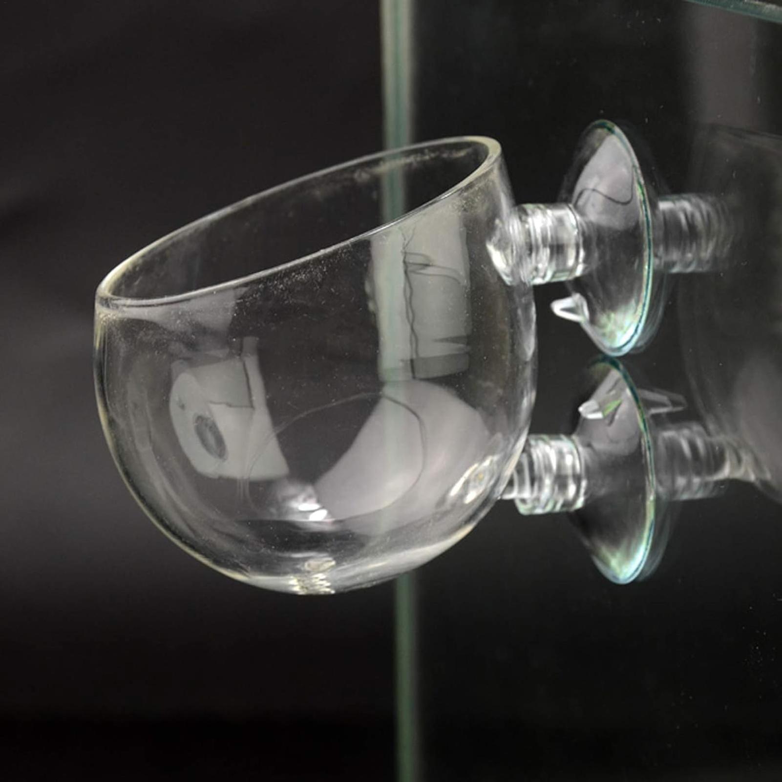 Aquarium Plant Holder Glass Aq - Live Plant Aquarium 评论和价格