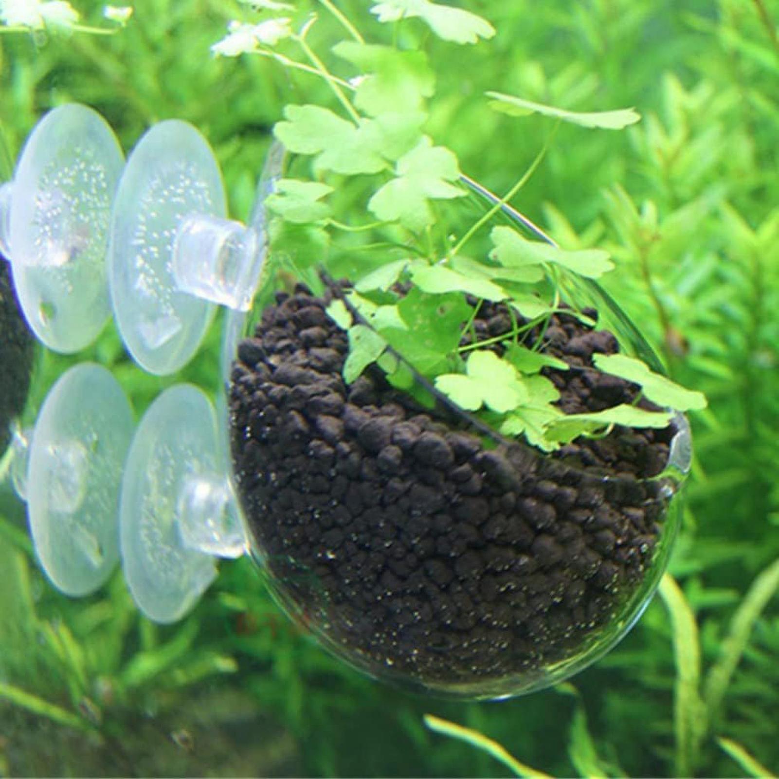 Aquarium Plant Holder Glass Aq - Live Plant Aquarium 评论和价格