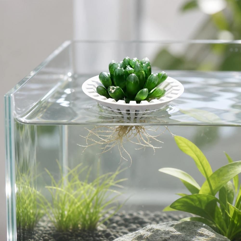 Aquarium Hydroponic Planter 3d - Aquarium Plant Holder 评论和价格