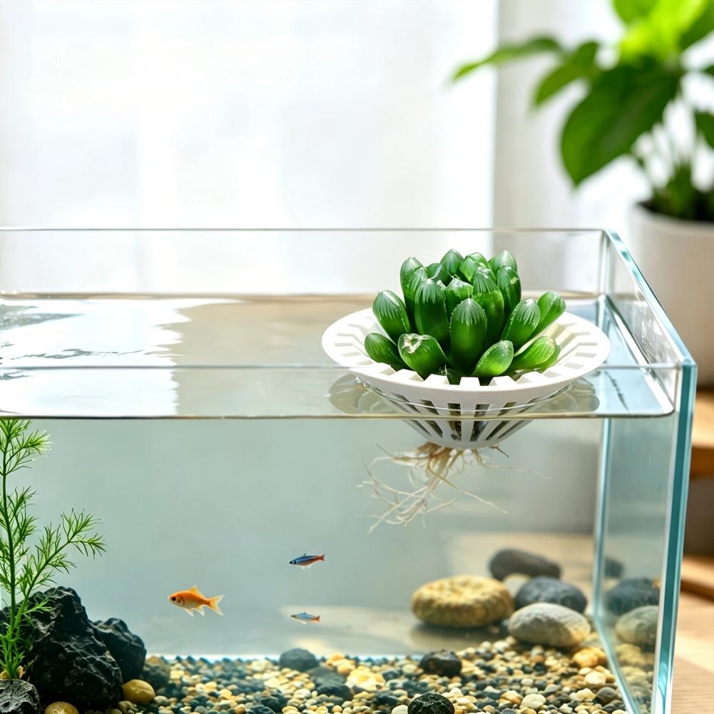 Aquarium Hydroponic Planter 3d - Aquarium Plant Holder 评论和价格