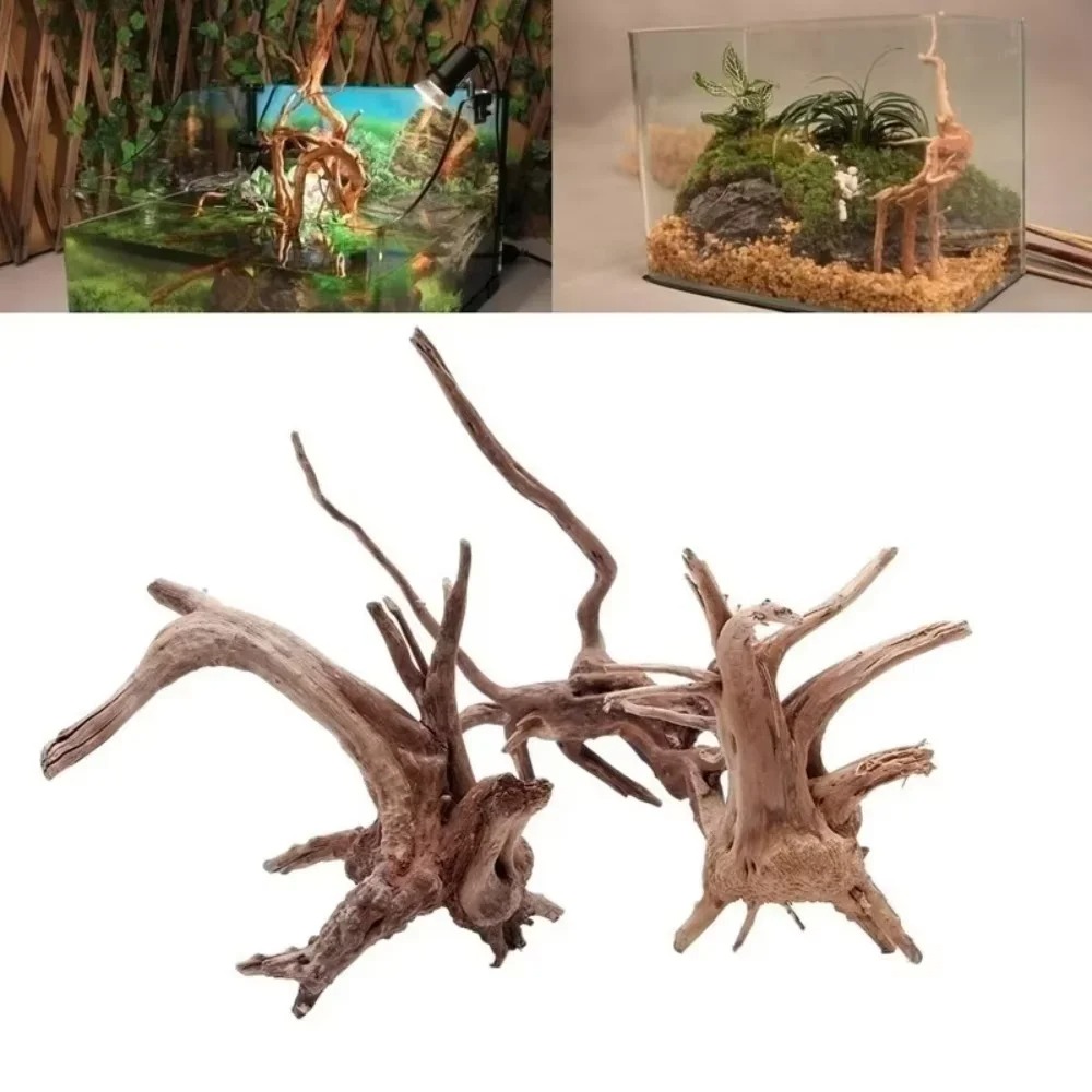 15-20CM Natural Driftwood Aqua - Aquarium Moss 评论和价格