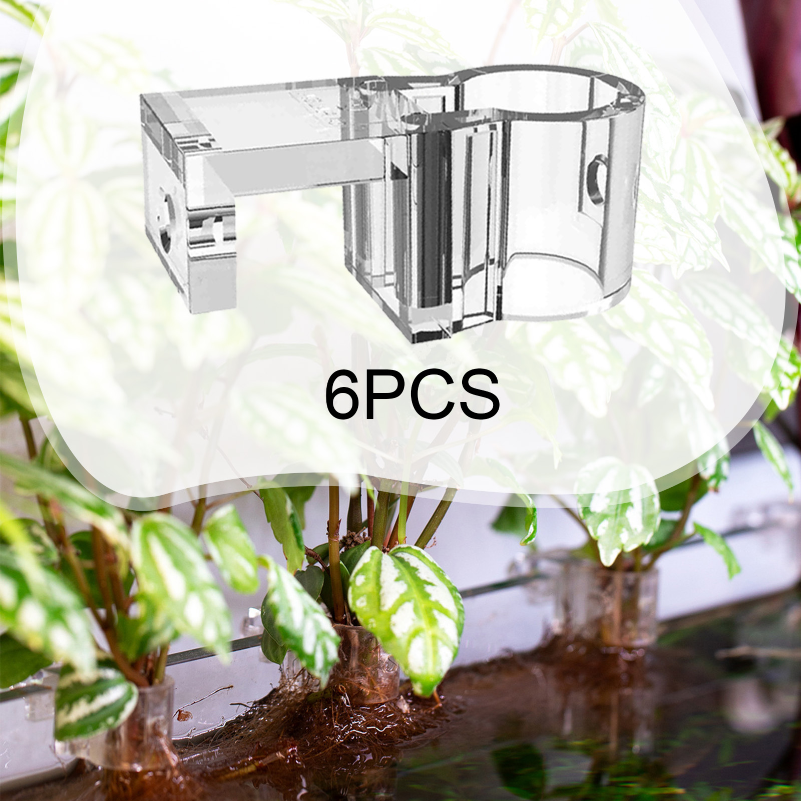 6Pcs Aquarium Plant Holder Sup - Aquarium Fertilizer 评论和价格