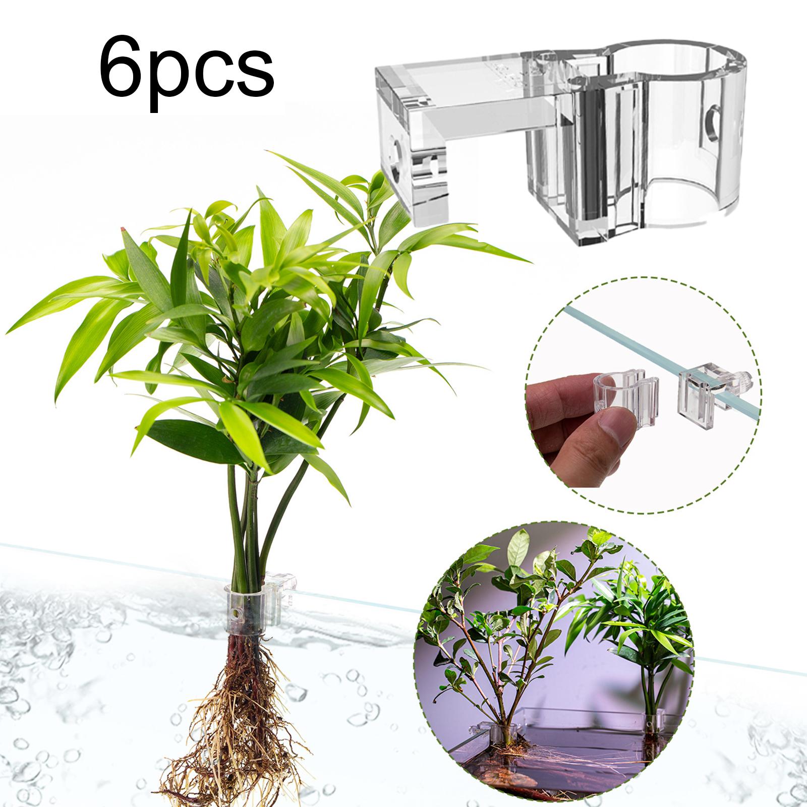 6Pcs Aquarium Plant Holder Sup - Aquarium Fertilizer 评论和价格
