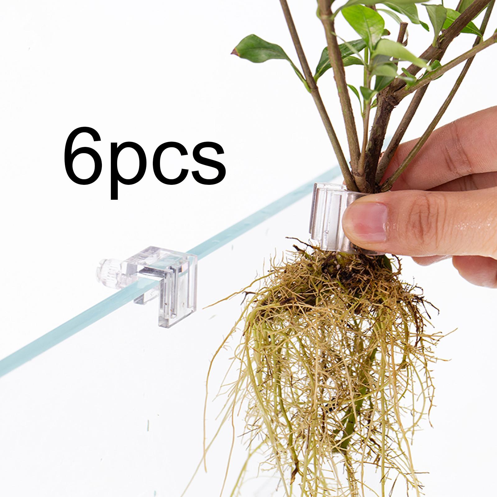6Pcs Aquarium Plant Holder Sup - Aquarium Fertilizer 评论和价格