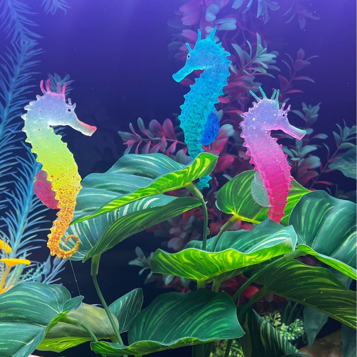 Simulated Luminous Seahorse Fi - Aquarium Plant Substrate 评论和价格