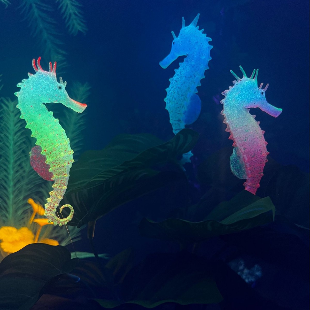 Simulated Luminous Seahorse Fi - Aquarium Plant Substrate 评论和价格