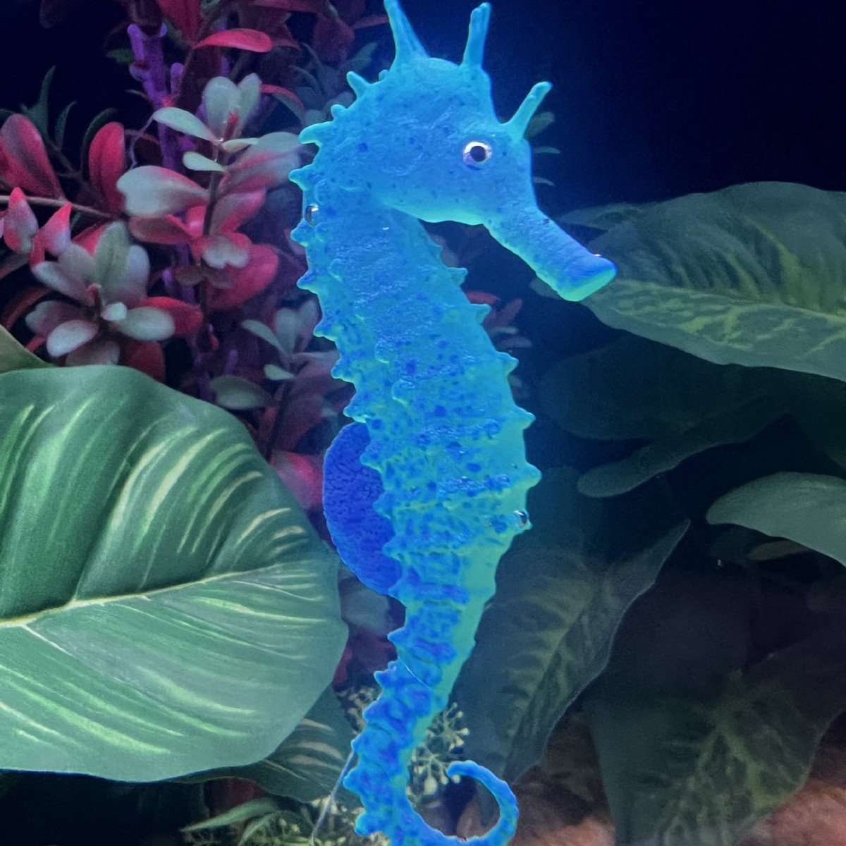 Simulated Luminous Seahorse Fi - Aquarium Plant Substrate 评论和价格