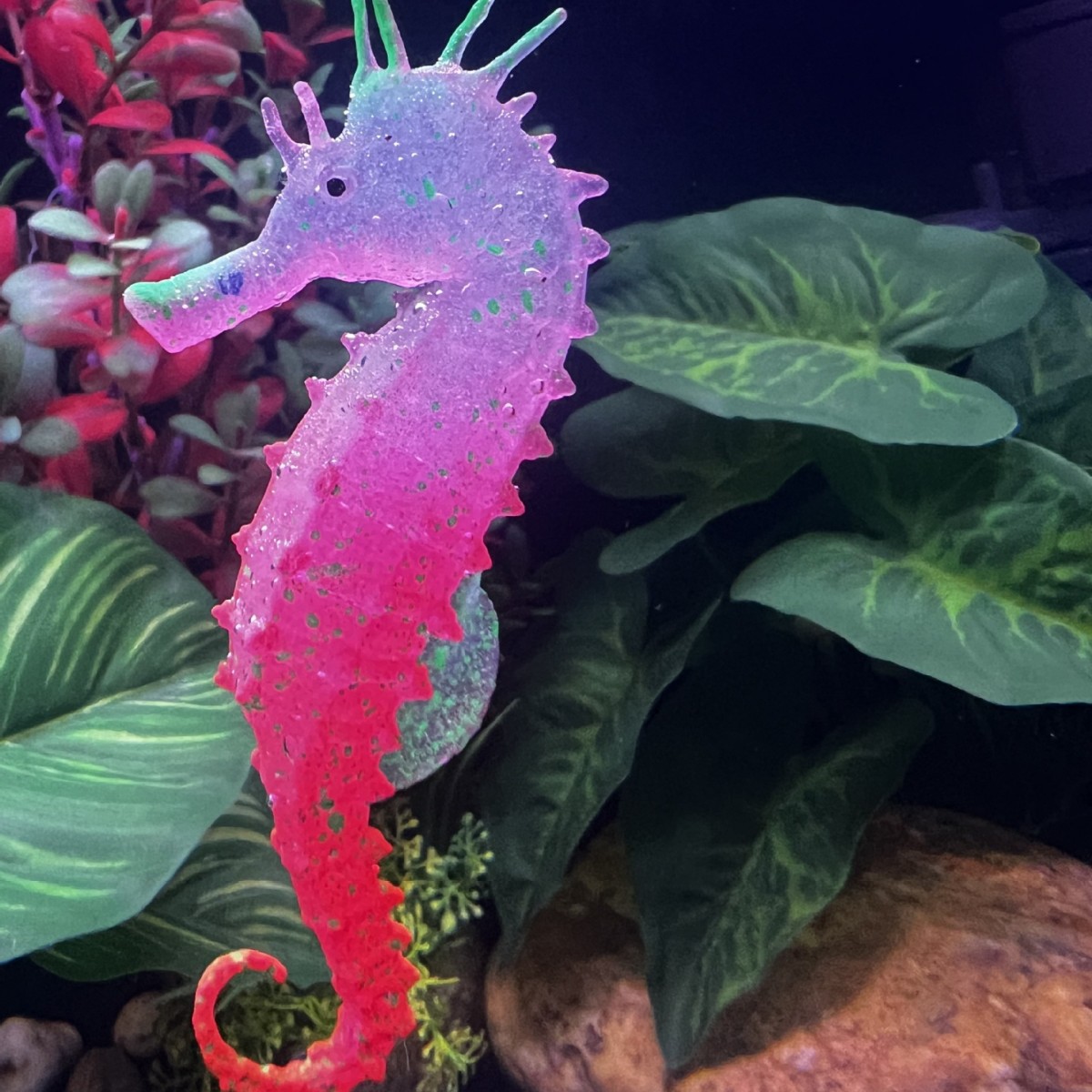 Simulated Luminous Seahorse Fi - Aquarium Plant Substrate 评论和价格