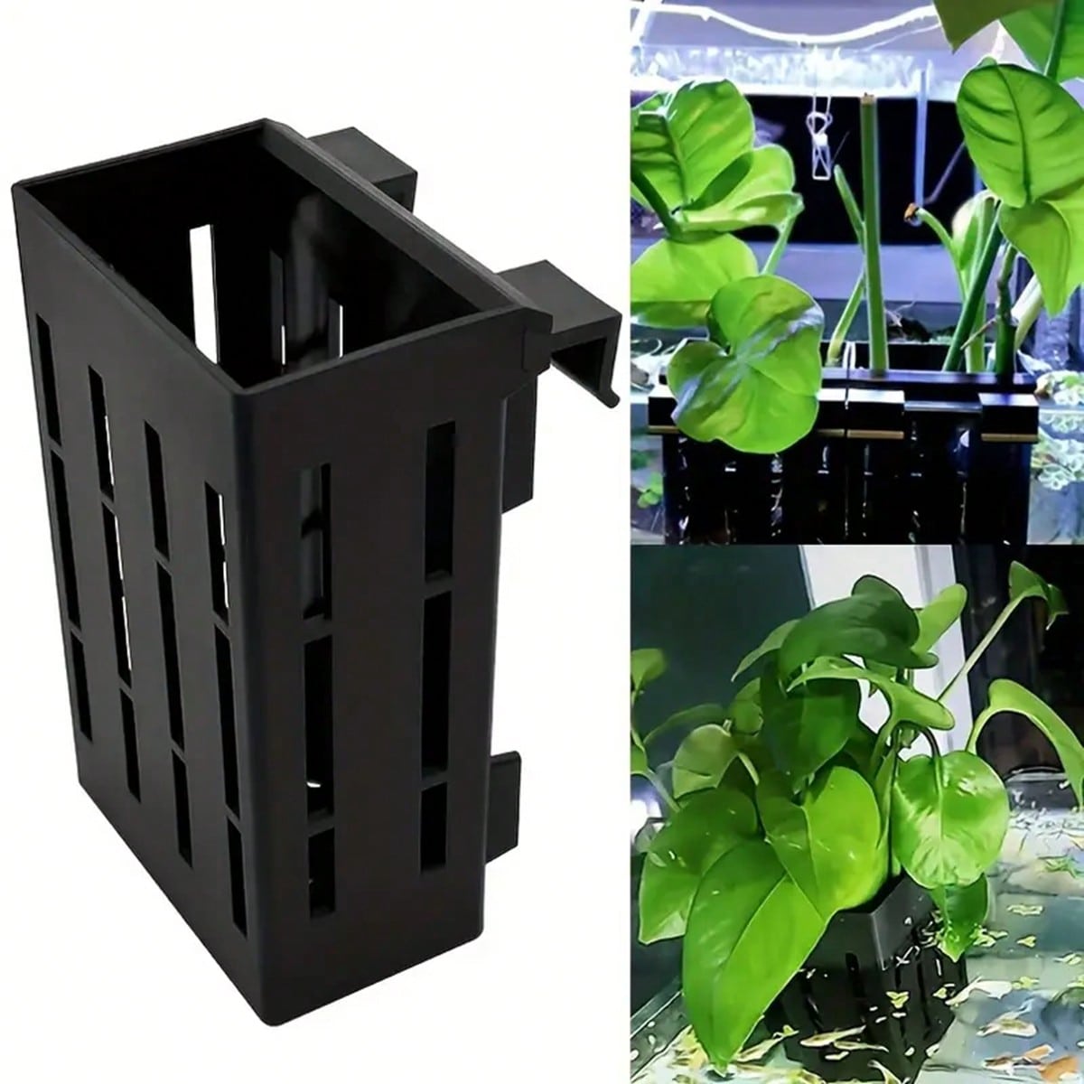 Aquarium Plant Holder Black Pl - Aquarium Plant Holder 评论和价格