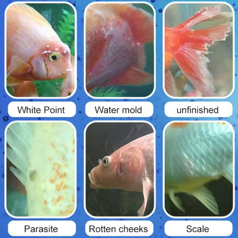 SIKEZHAN Fish Disease Treatmen - Aquarium Liquid Carbon 评论和价格