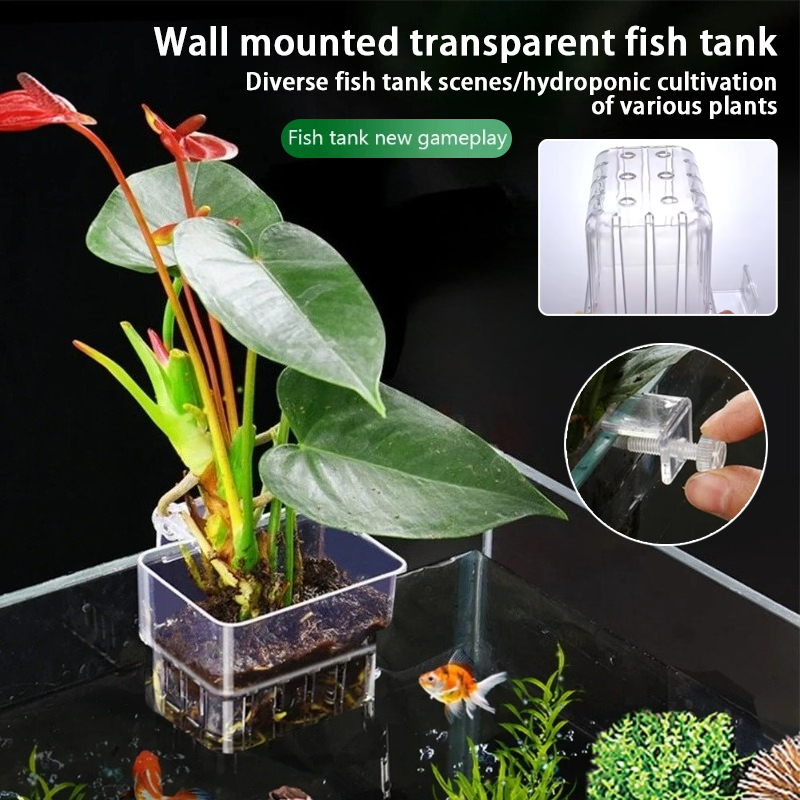 Aquarium Hanging Planter Cups  - Plant Aquarium Pot 评论和价格