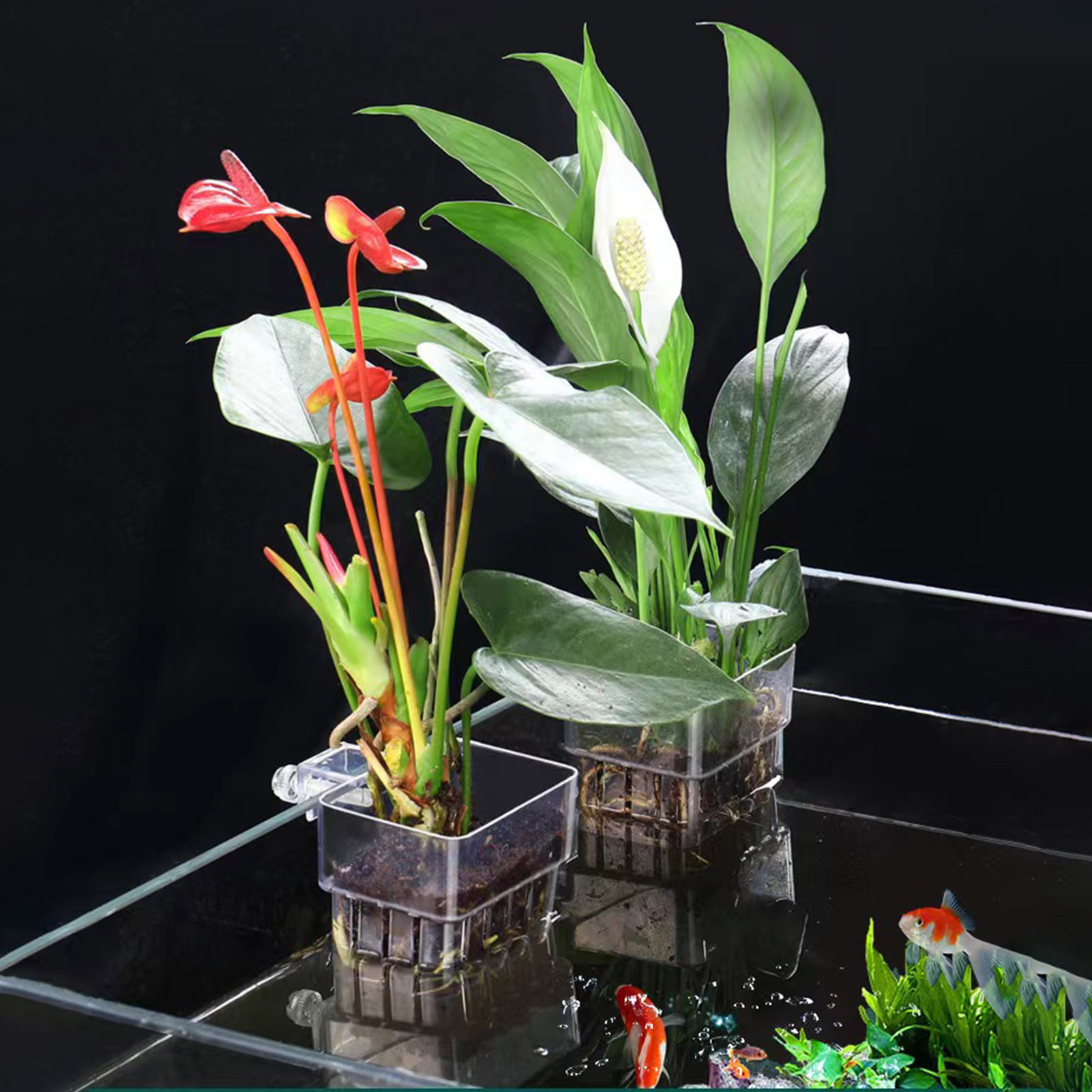 Clear Acrylic Plant Holder Hyd - Aquarium Plant Holder 评论和价格