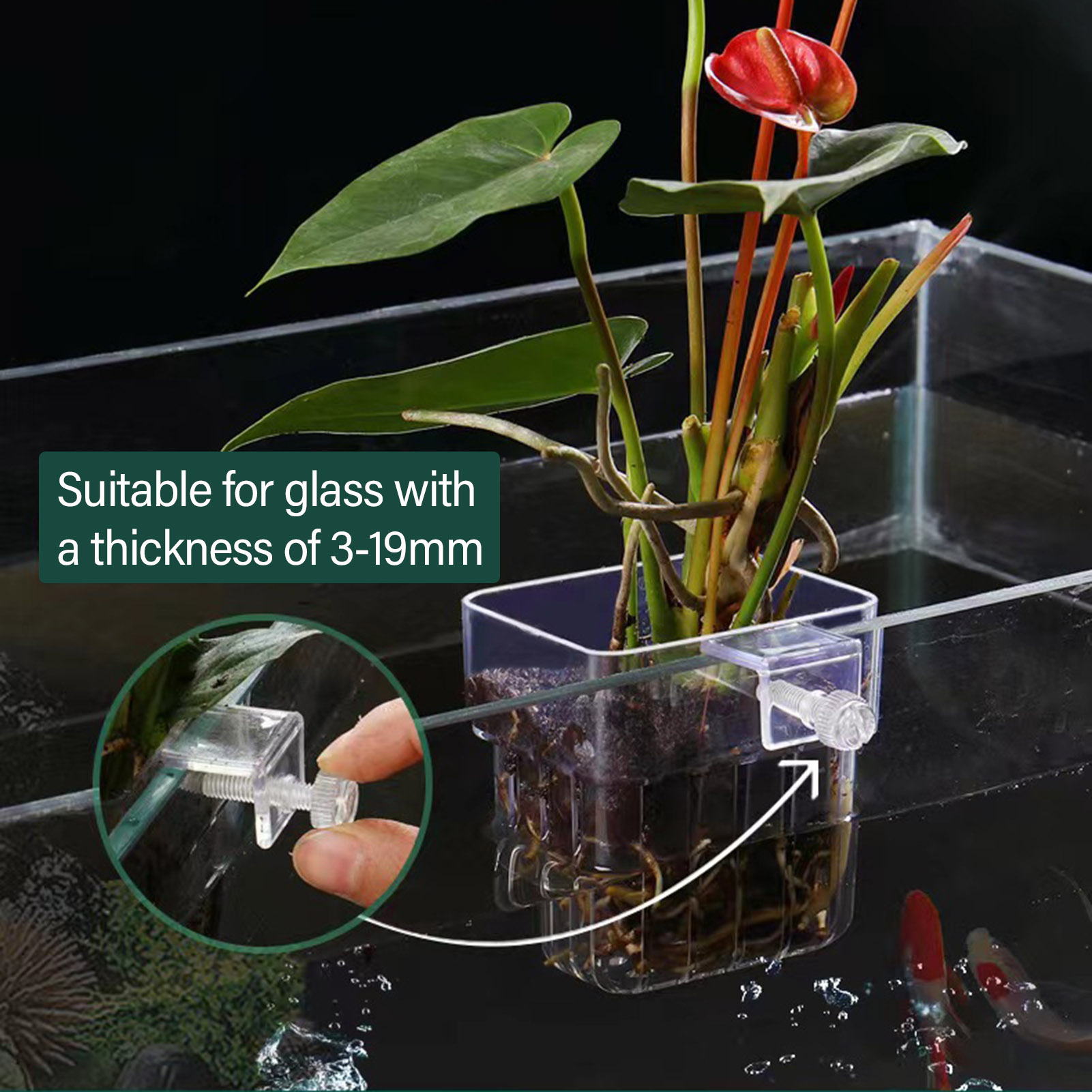Clear Acrylic Plant Holder Hyd - Aquarium Plant Holder 评论和价格