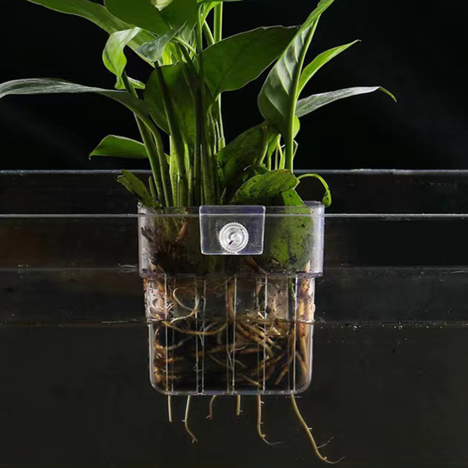Clear Acrylic Plant Holder Hyd - Aquarium Plant Holder 评论和价格