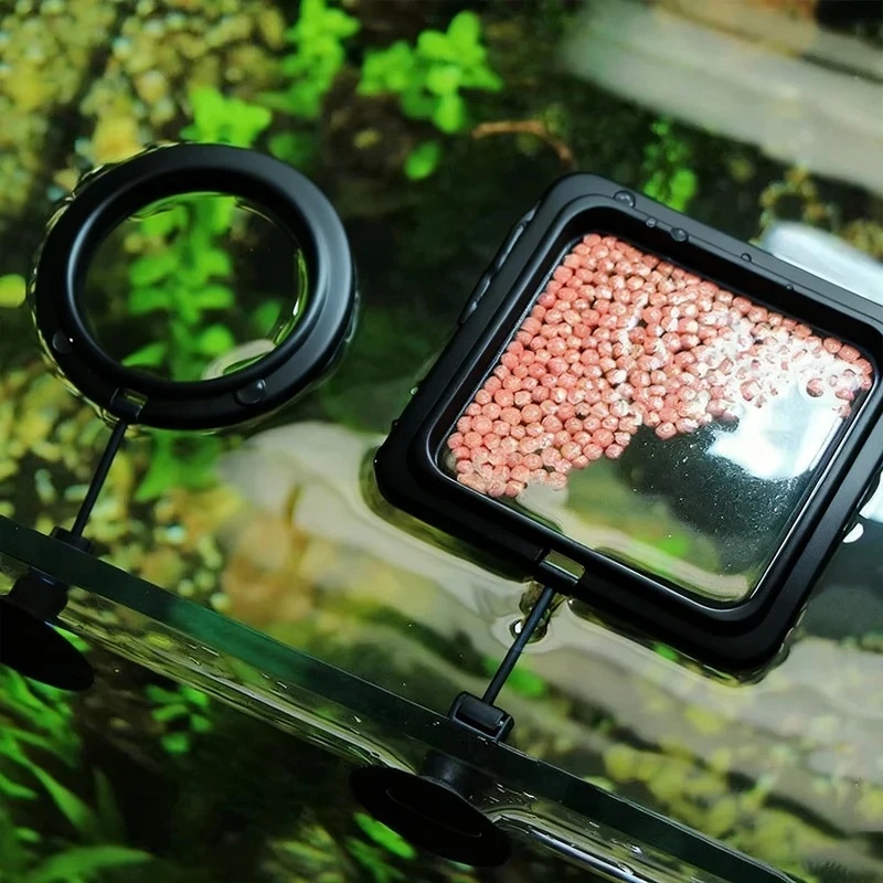 1/3pcs Aquarium Fish Feeding R - Aquarium Fertilizer 评论和价格