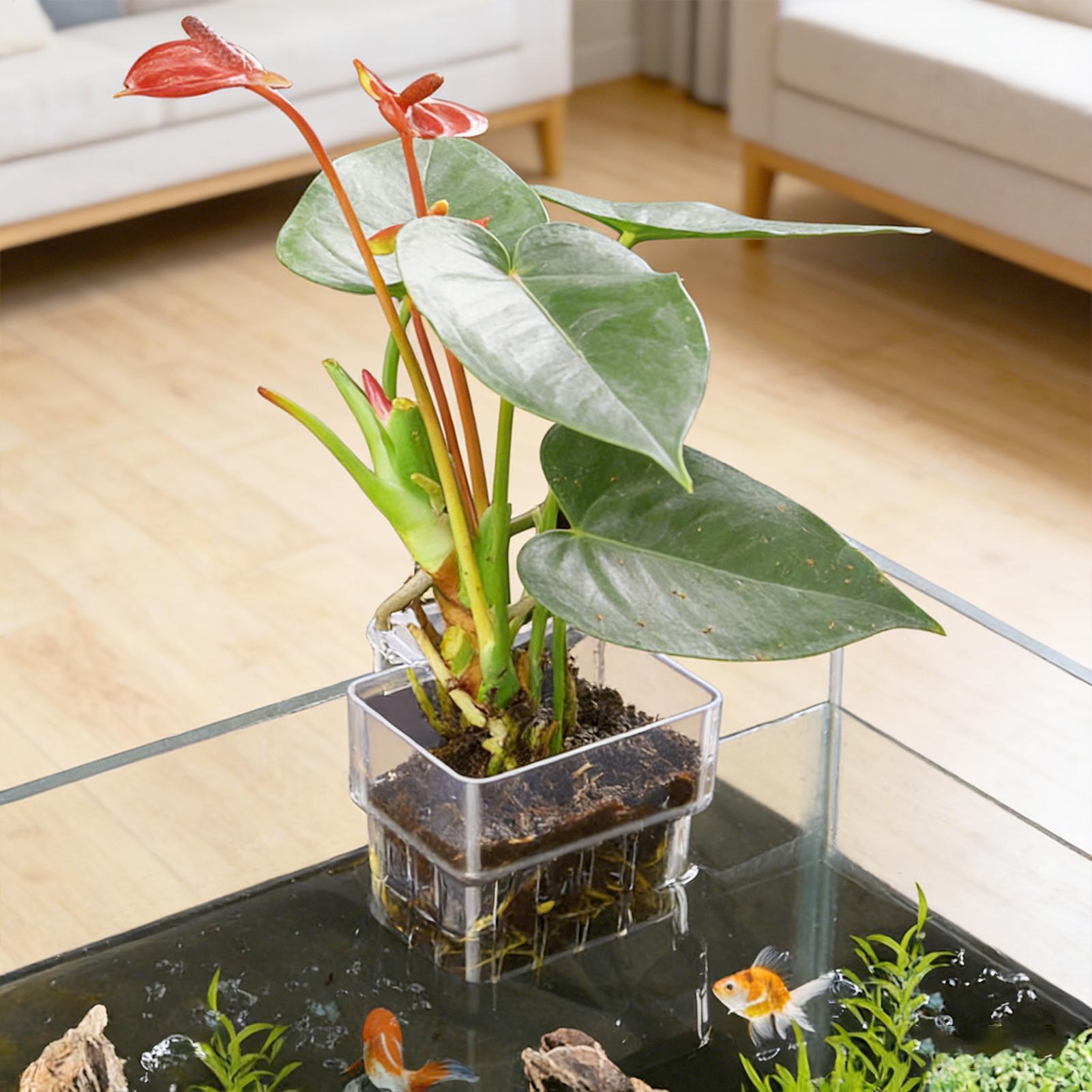Aquarium Plant Basket Transpar - Plant Aquarium Pot 评论和价格