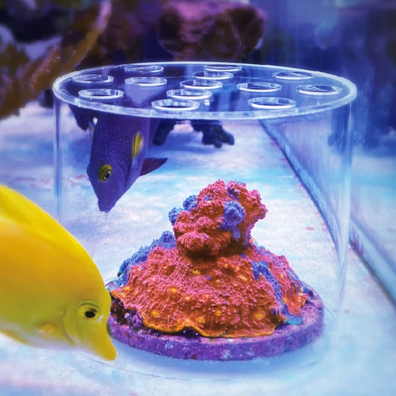 Vastocean Aquarium Arcylic Cor - Aquarium Fertilizer 评论和价格