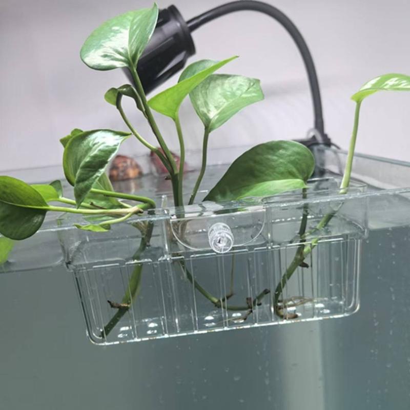 Hydroponic Plant Basket Food G - Planted Tank 评论和价格