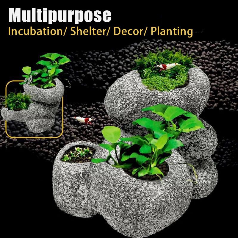 Fish Shrimp Incubation Shelter - Plant Aquarium Pot 评论和价格