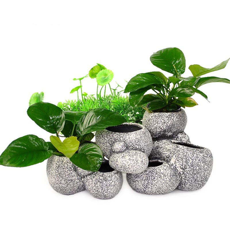 Fish Shrimp Incubation Shelter - Plant Aquarium Pot 评论和价格