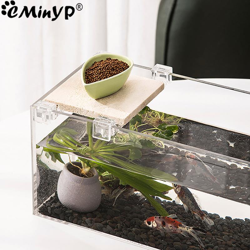 4Pcs Fish Tank Acrylic Clips f - Aquarium Plant Holder 评论和价格