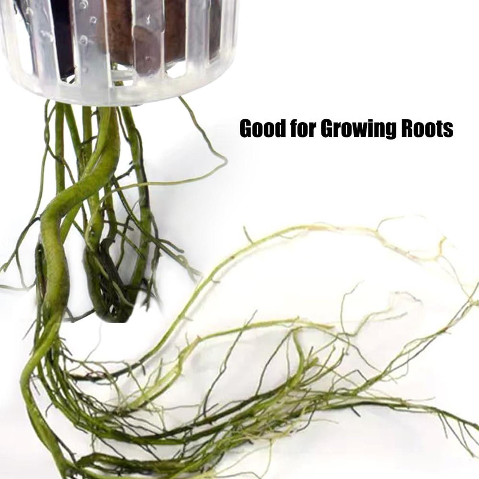 2PCS Hangable Aquatic Plant Ho - Aquarium Plant Holder 评论和价格