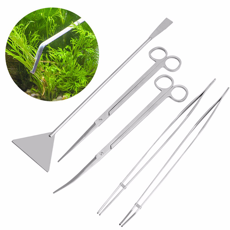 Professional Aquarium Maintena - Live Plant Aquarium 评论和价格