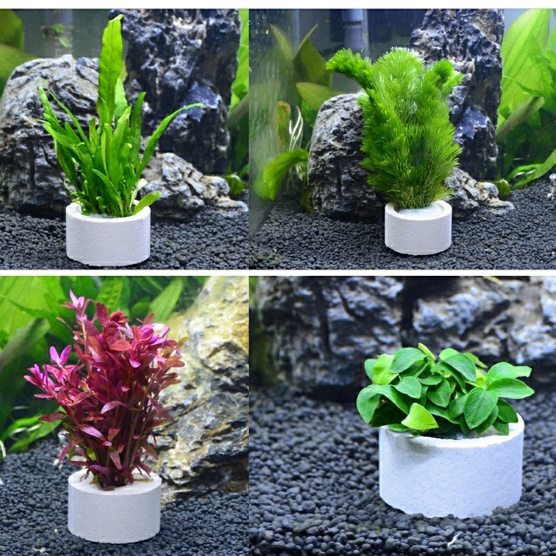 Aquarium Decoration Ceramic Ri - Plant Aquarium Pot 评论和价格