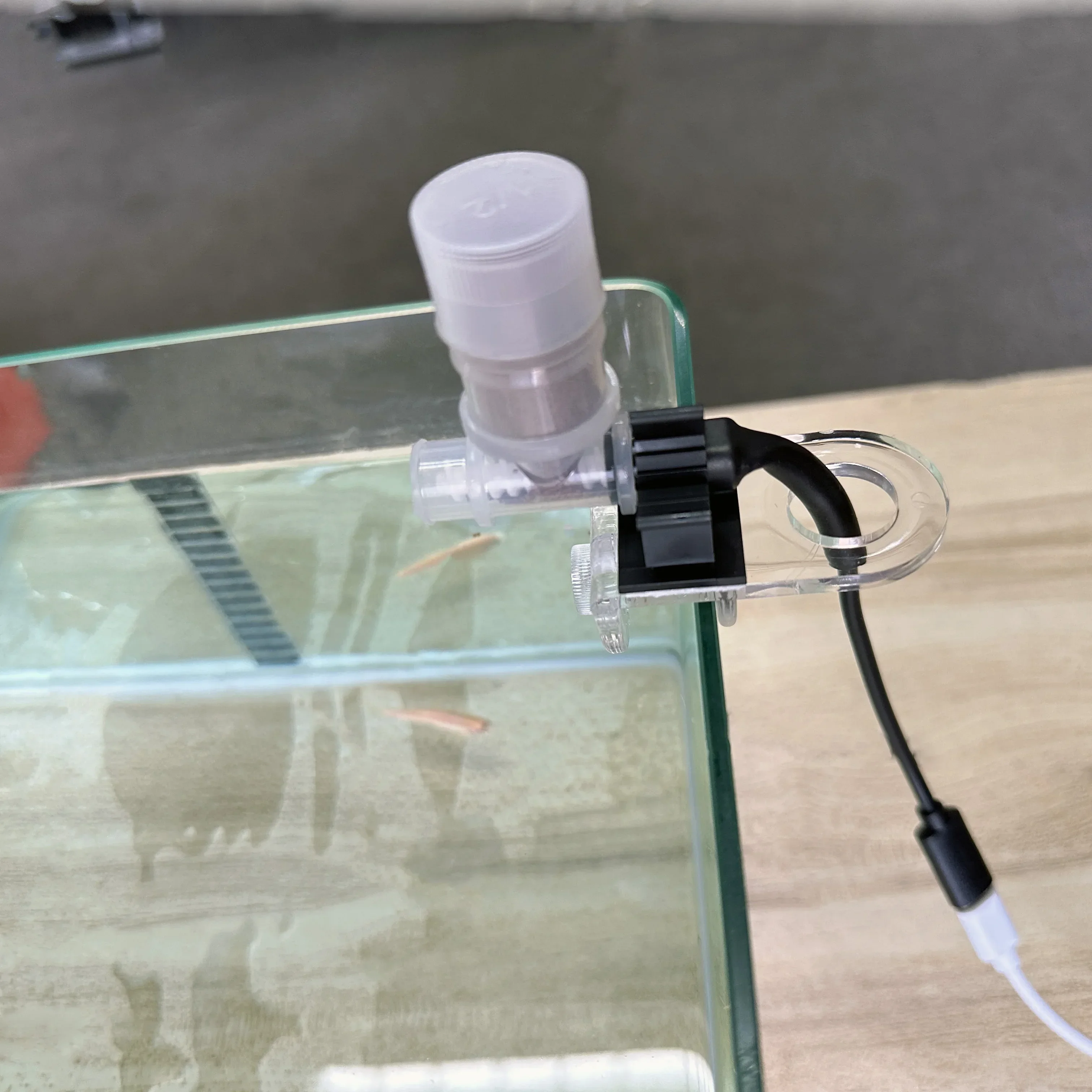 Best Automatic Fish Feeder - W - Aquarium Fertilizer 评论和价格