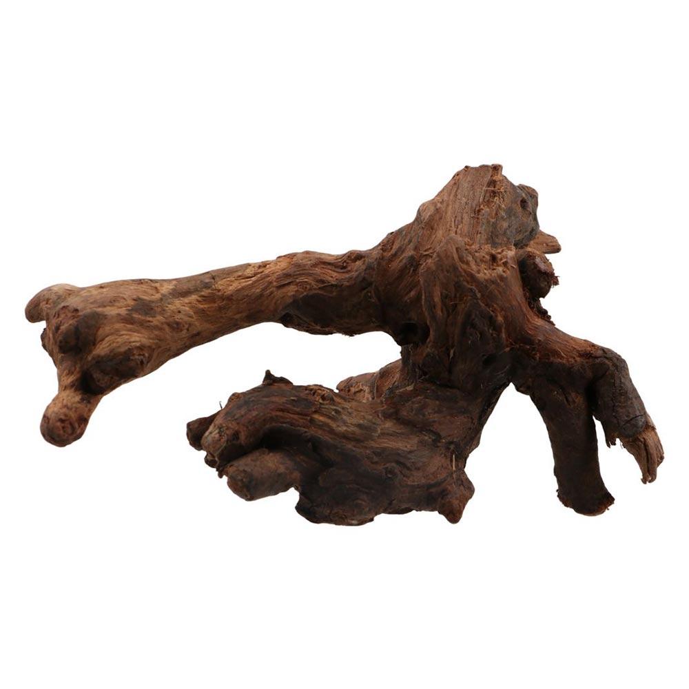 Creative Irregular Shape Coral - Aquarium Plant Substrate 评论和价格